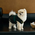 Black Dog Cape – Emerald Band & Jade Toggle
