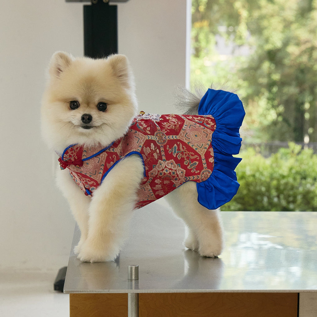 Crimson Brocade Dog Dress – Cobalt Ruffle Skirt