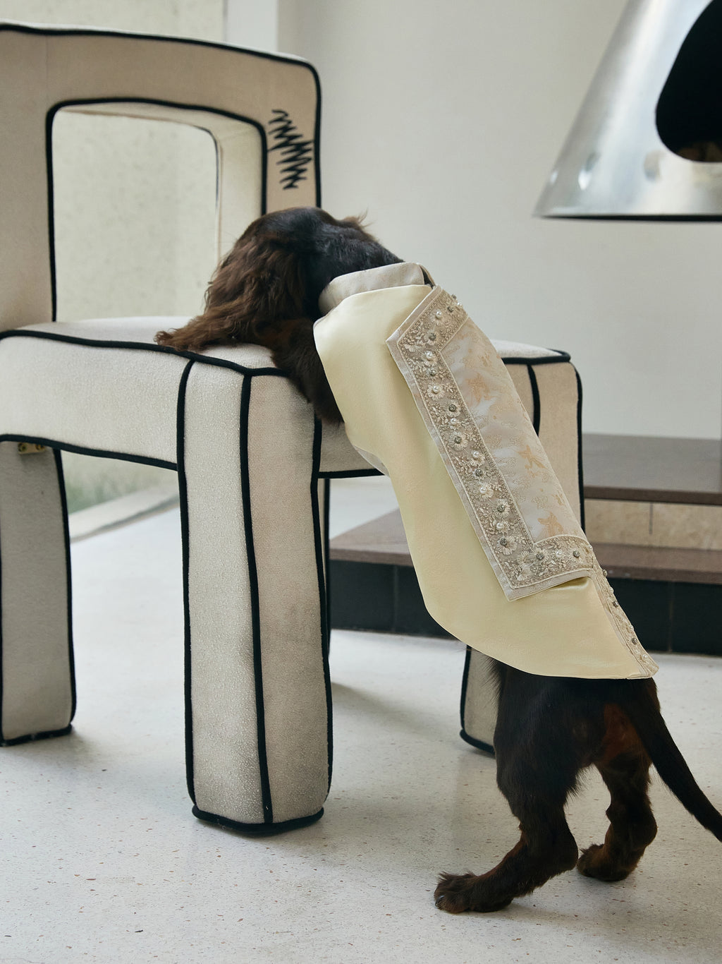 Champagne Beaded Dog Cape – Ivory Jacquard Vest
