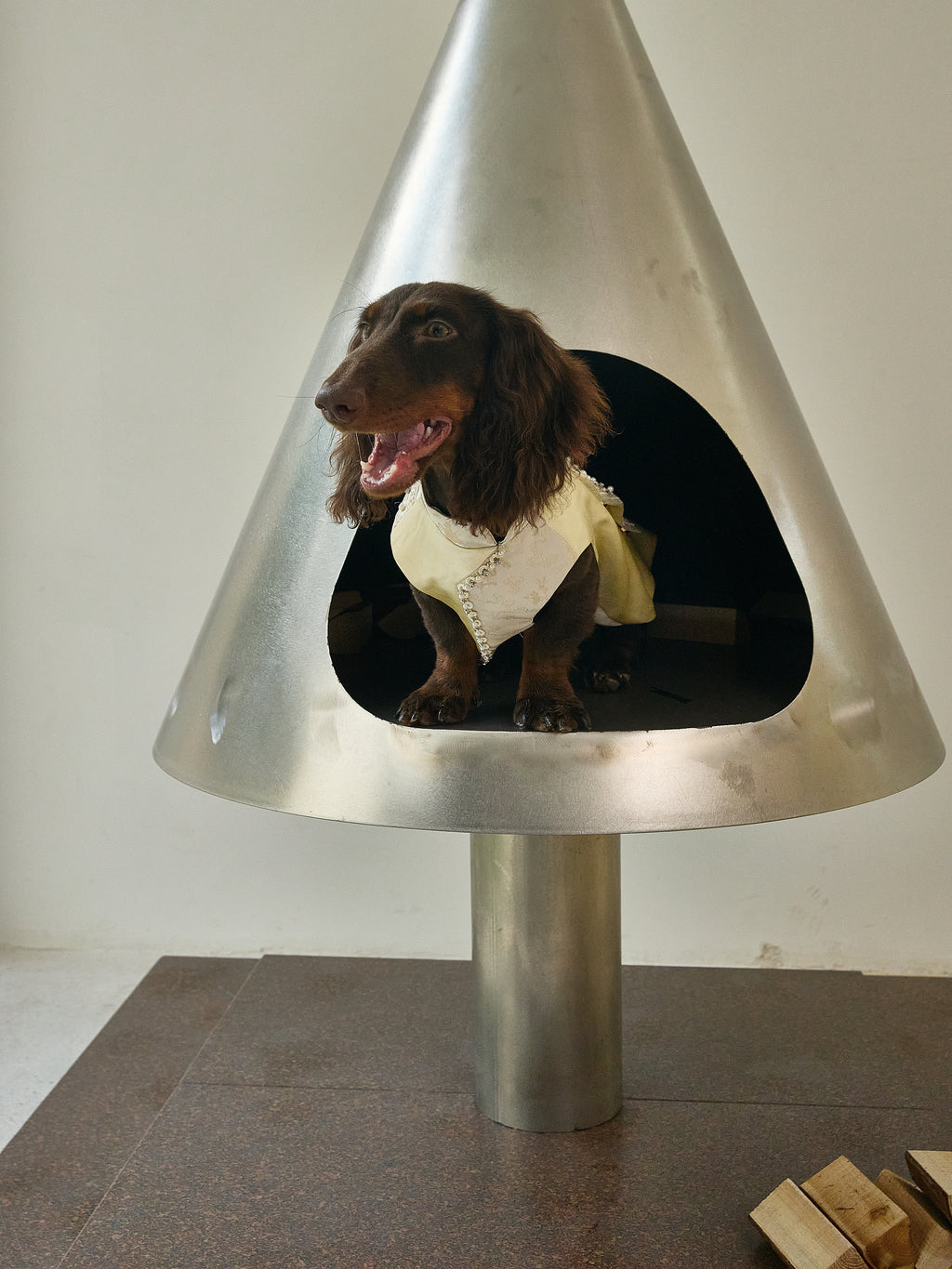 Champagne Beaded Dog Cape – Ivory Jacquard Vest
