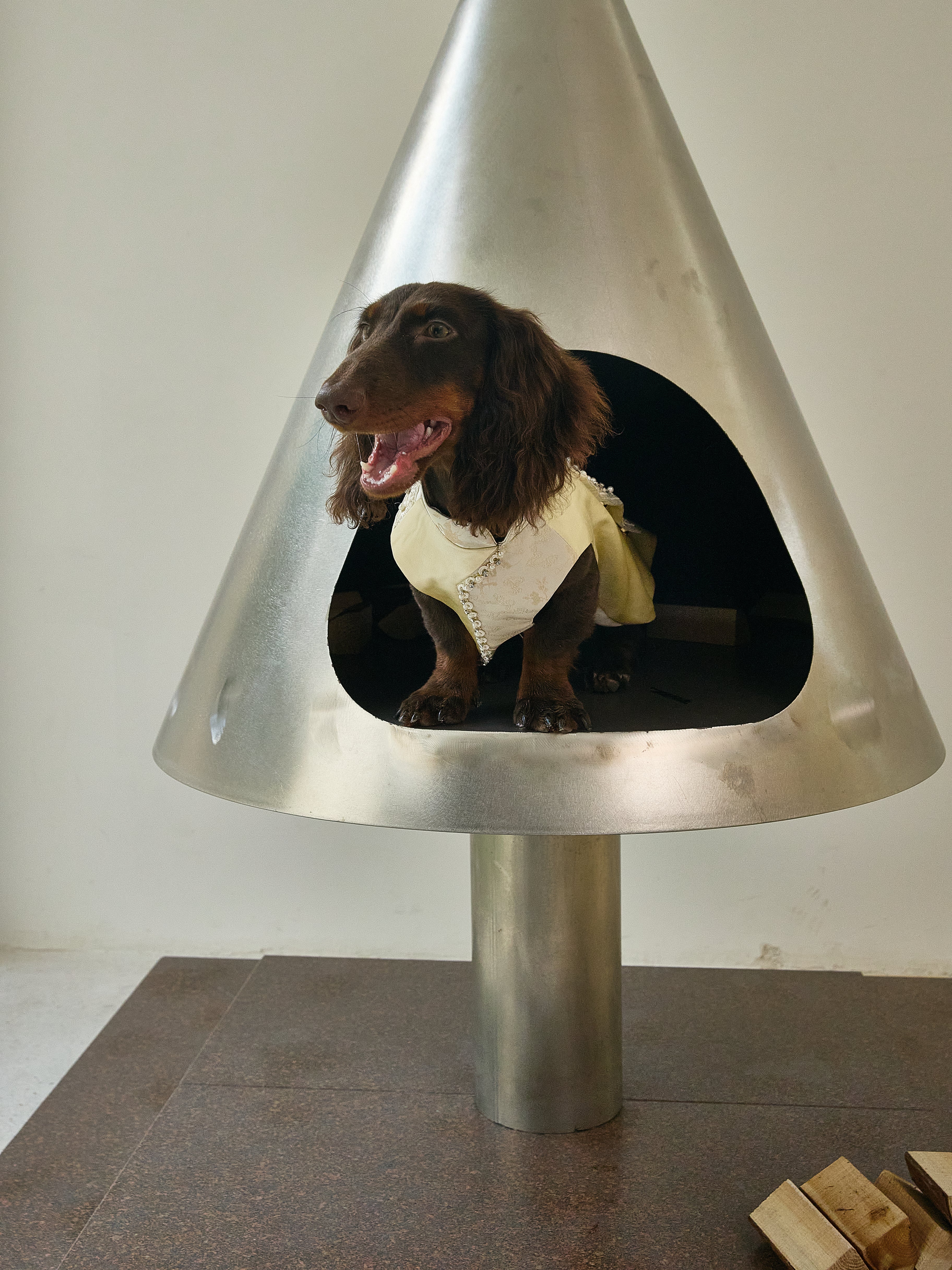Champagne Beaded Dog Cape – Ivory Jacquard Vest