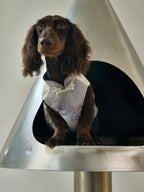 Ivory & Lavender Brocade Dog Cape – Pearl Frog Closure