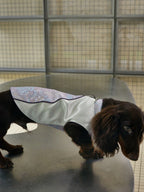 Ivory & Lavender Brocade Dog Cape – Pearl Frog Closure