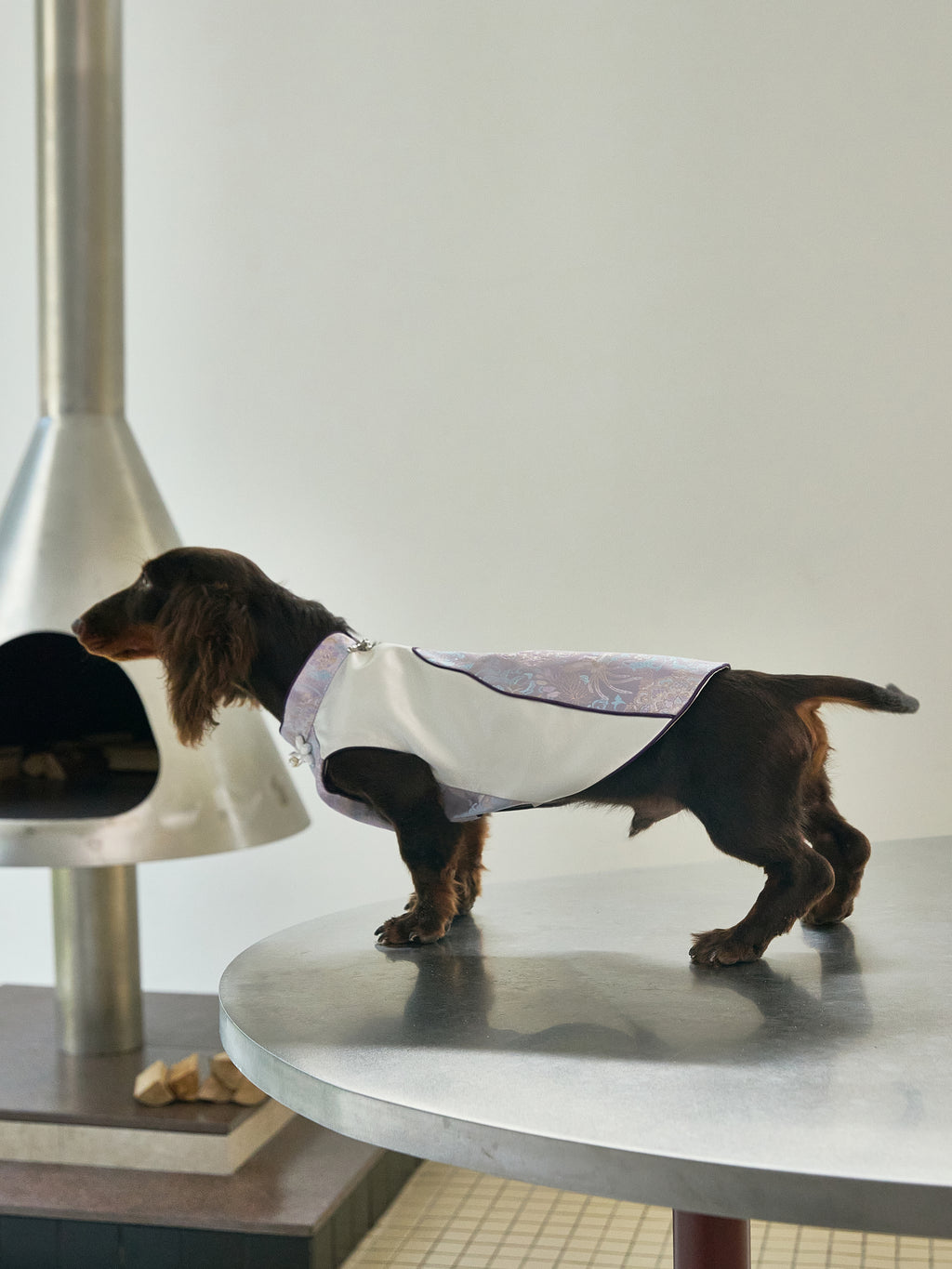 Ivory & Lavender Brocade Dog Cape – Pearl Frog Closure