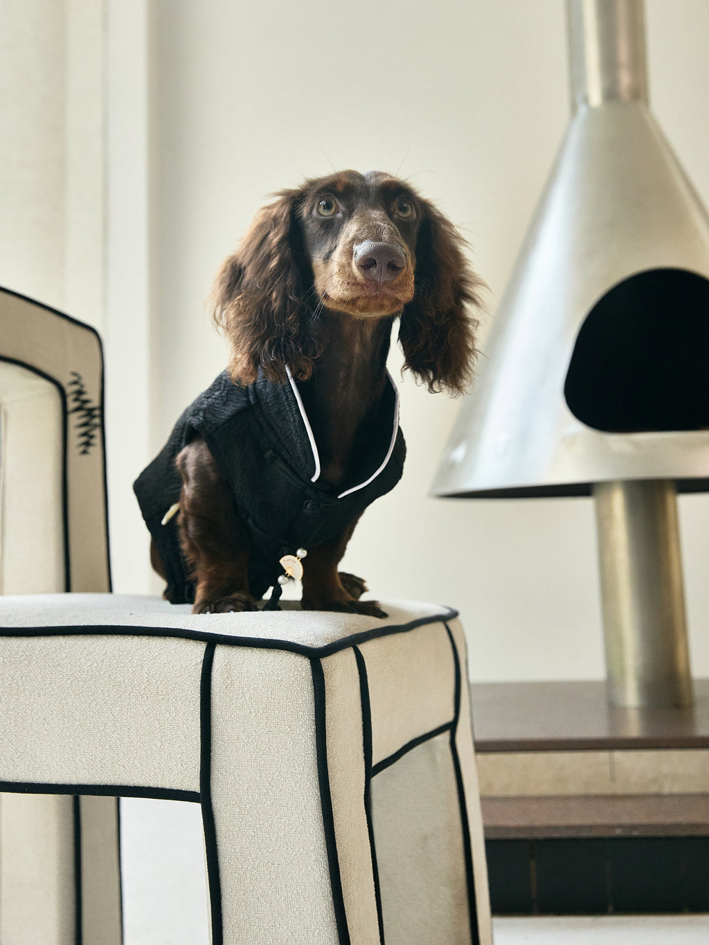 Black Quilted Dog Coat – White Piping & Fan Tassel