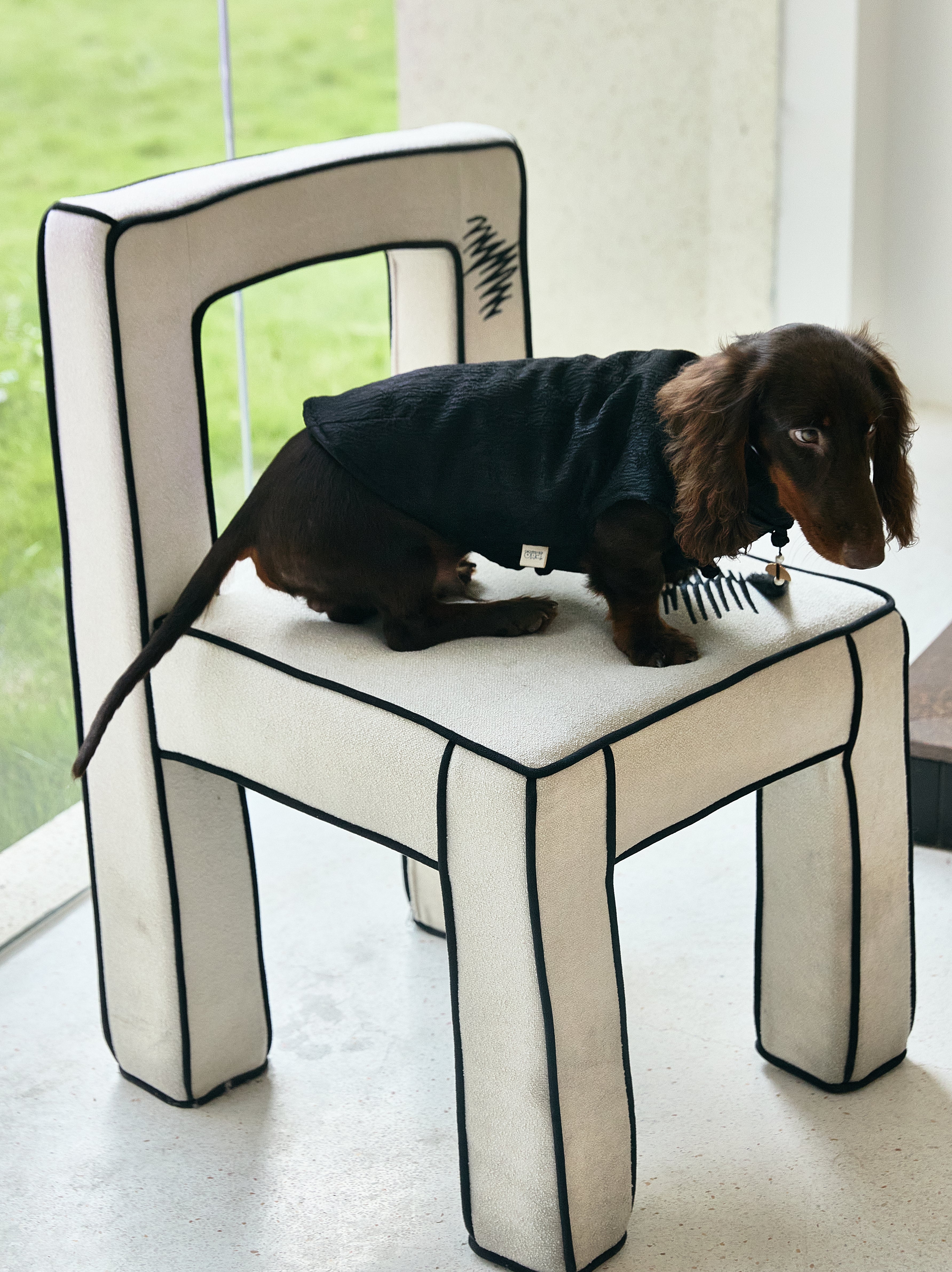 Black Quilted Dog Coat – White Piping & Fan Tassel