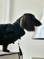 Black Quilted Dog Coat – White Piping & Fan Tassel