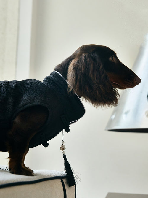 Black Quilted Dog Coat – White Piping & Fan Tassel