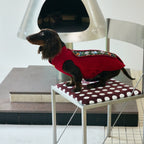 Crimson Dog Coat – Teal Brocade Back Panel