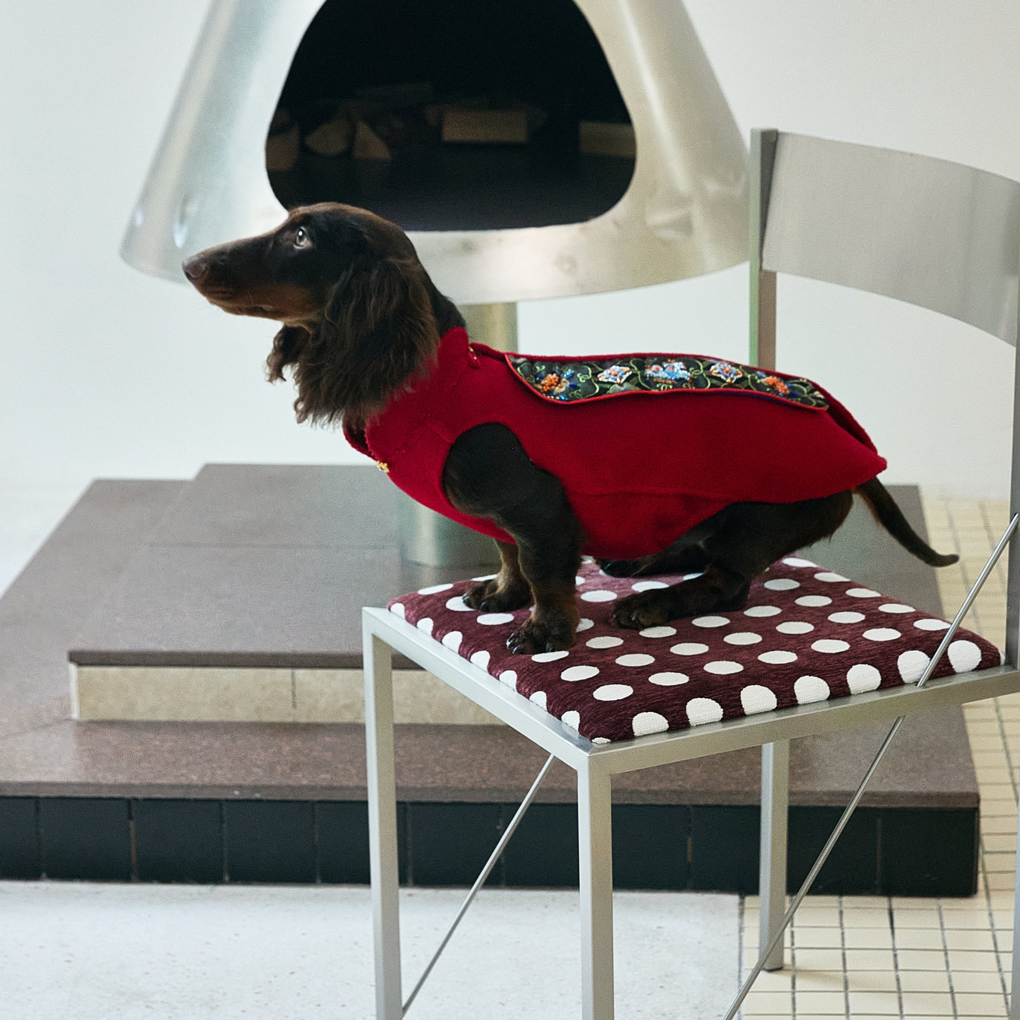 Crimson Dog Coat – Teal Brocade Back Panel