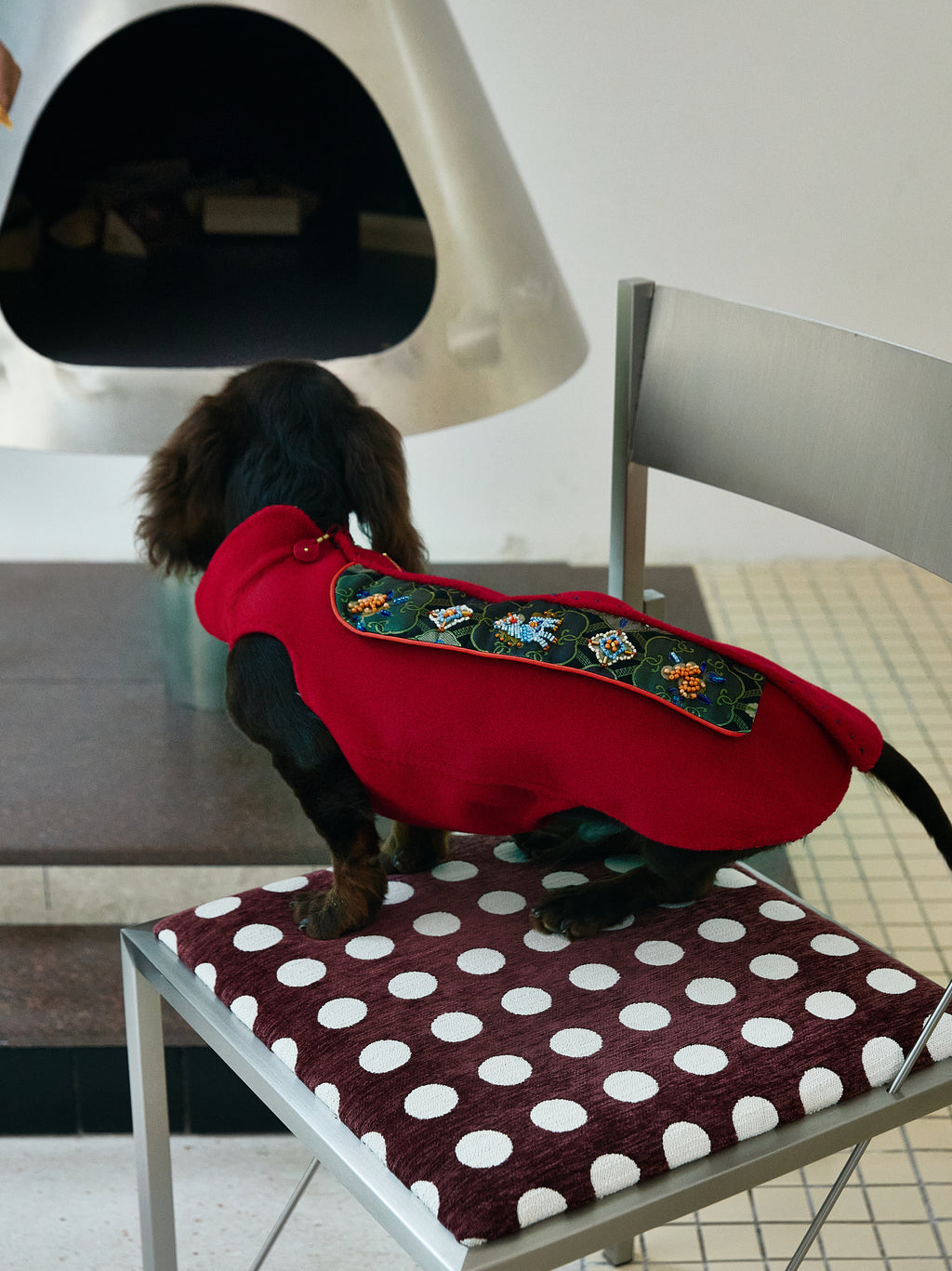 Crimson Dog Coat – Teal Brocade Back Panel