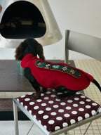 Crimson Dog Coat – Teal Brocade Back Panel