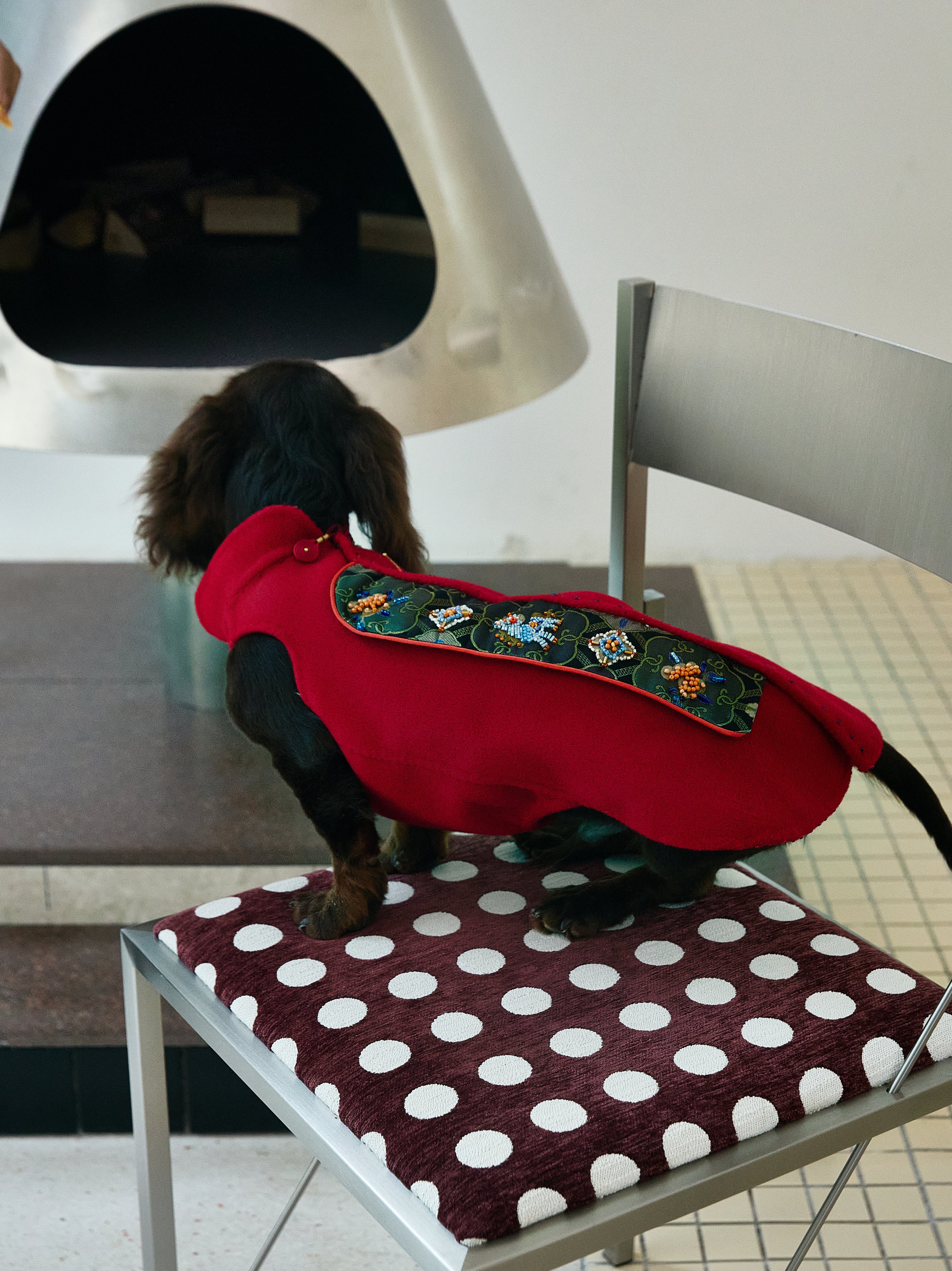 Crimson Dog Coat – Teal Brocade Back Panel