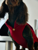 Crimson Dog Coat – Teal Brocade Back Panel