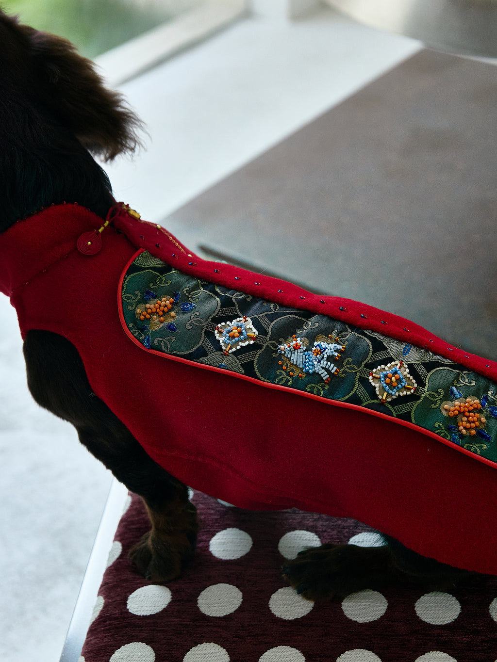 Crimson Dog Coat – Teal Brocade Back Panel
