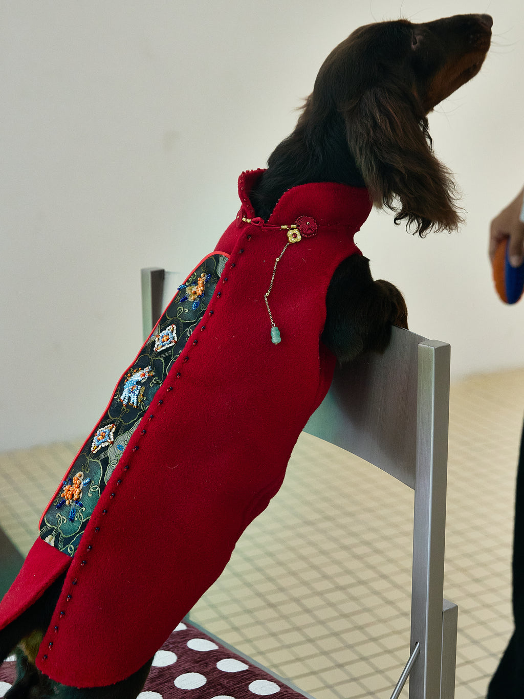 Crimson Dog Coat – Teal Brocade Back Panel