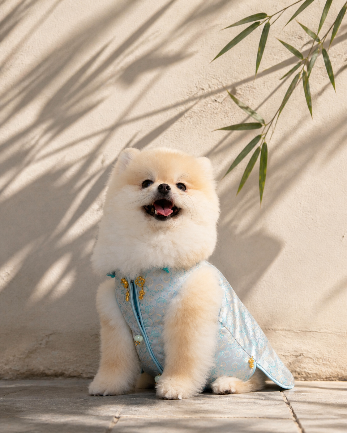 Celadon Brocade Dog Vest – Jade Charm & Gold Toggles
