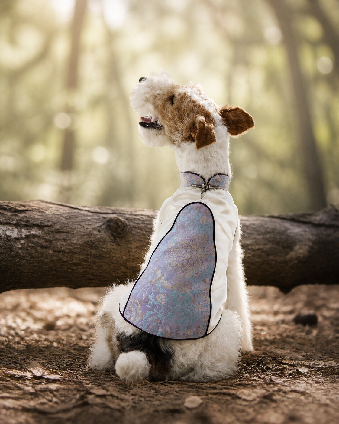 Ivory & Lavender Brocade Dog Cape – Pearl Frog Closure
