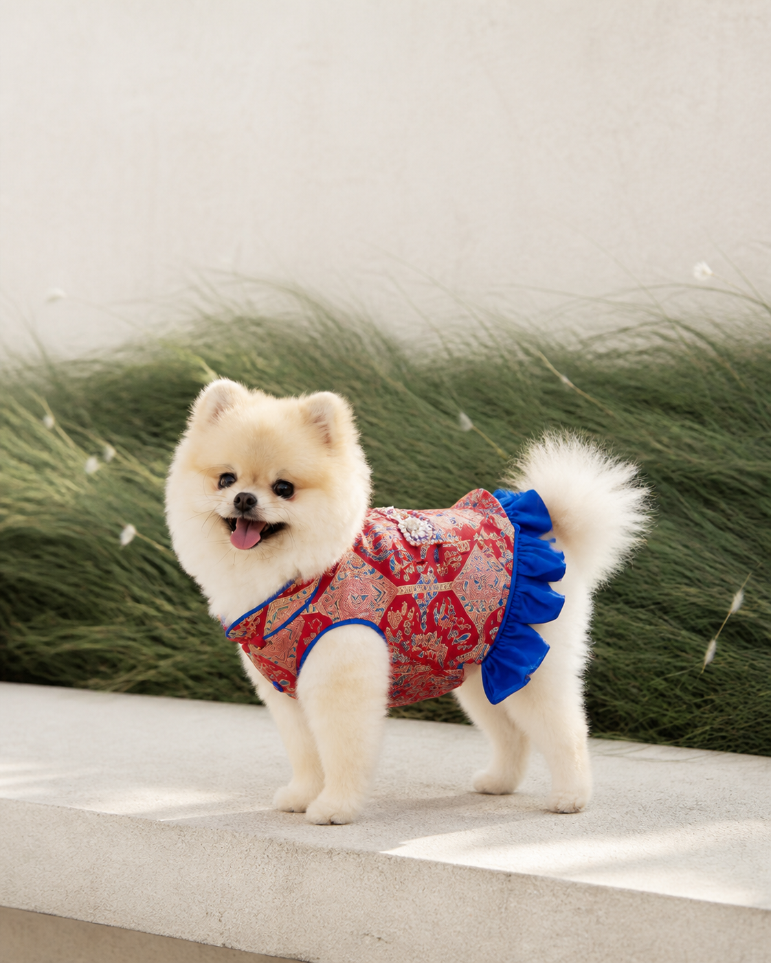 Crimson Brocade Dog Dress – Cobalt Ruffle Skirt