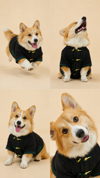 Black Jade-Button Tang Jacket – Chinese-Style Dog Coat