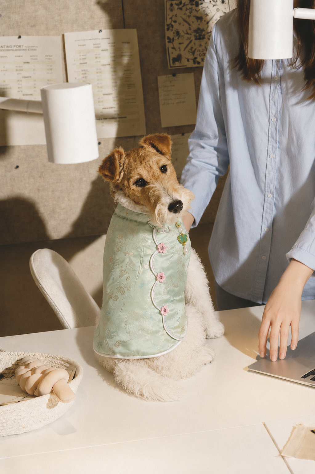 Celadon Mandarin Collar Dog Jacket – Chinese-Style Floral Brocade