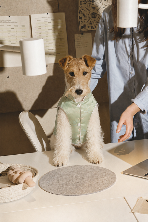 Celadon Mandarin Collar Dog Jacket – Chinese-Style Floral Brocade