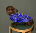 Light and breathable Pet Coats Oriental style for Sausage dog Dachshund