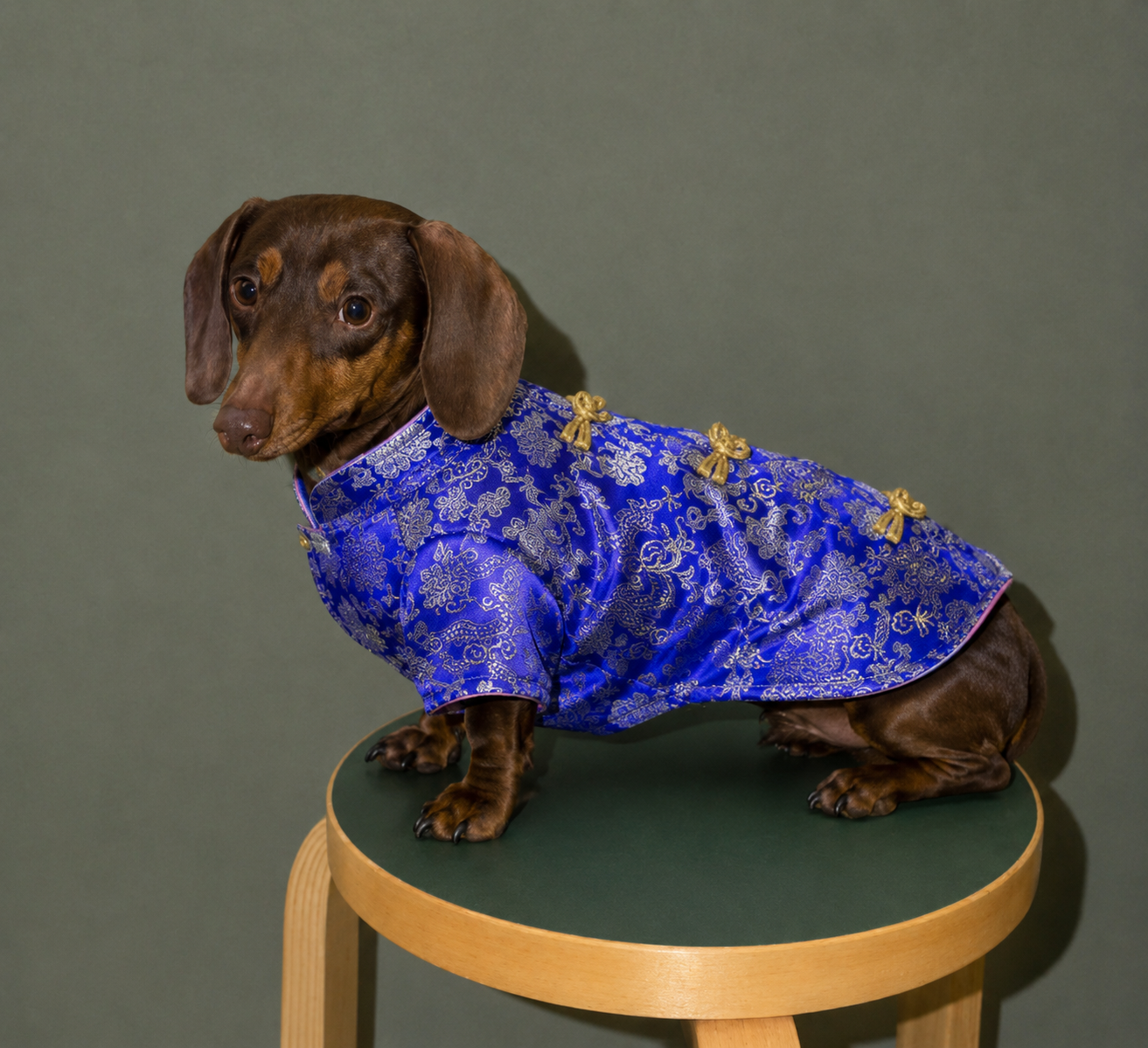 Light and breathable Pet Coats Oriental style for Sausage dog Dachshund