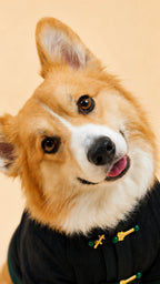 Black Jade-Button Tang Jacket – Chinese-Style Dog Coat