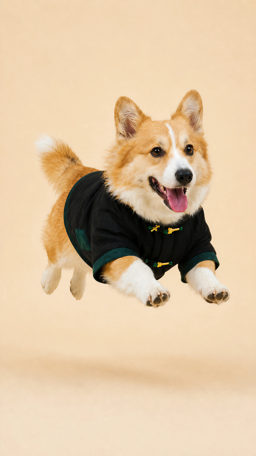 Black Jade-Button Tang Jacket – Chinese-Style Dog Coat