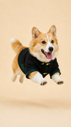 Black Jade-Button Tang Jacket – Chinese-Style Dog Coat