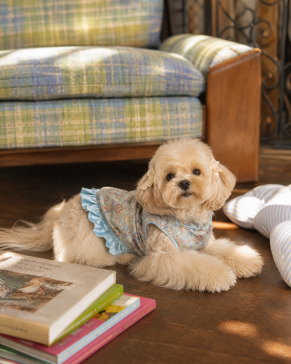 Powder Blue Brocade Dog Dress – Ruffled Cape Hem