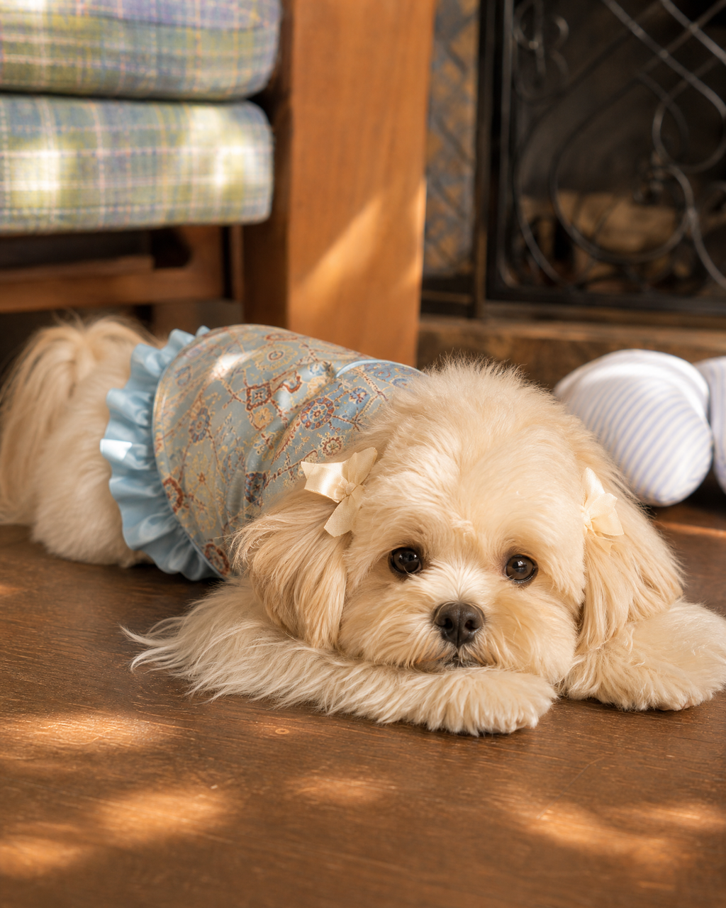 Powder Blue Brocade Dog Dress – Ruffled Cape Hem