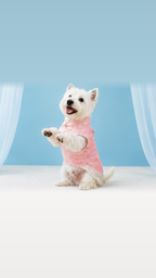 Pink Floral Brocade Qipao Dog Dress – Chinese-Style Cheongsam