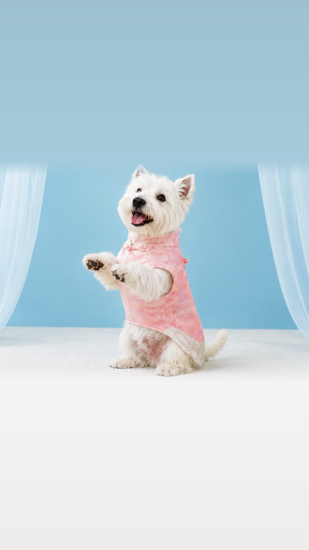 Pink Floral Brocade Qipao Dog Dress – Chinese-Style Cheongsam