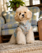 Powder Blue Brocade Dog Dress – Ruffled Cape Hem