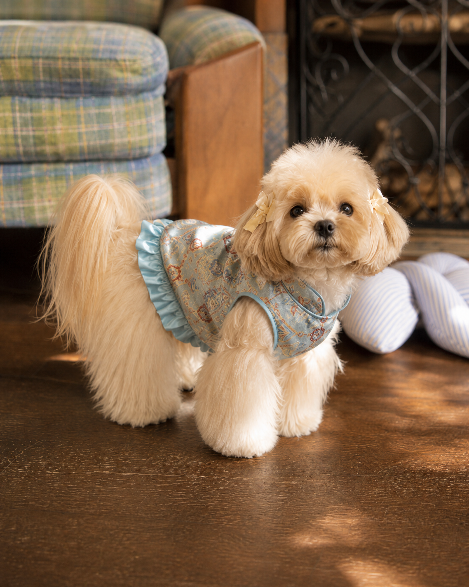 Powder Blue Brocade Dog Dress – Ruffled Cape Hem